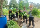 Polsek-Porong-bersama-Anggota-Lapas-Klas-1-Lakukan-Peninjauan-Program-Ketahanan-Pangan-di-Desa-Kebonagung