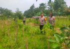 Polresta-Sidoarjo-Lakukan-Monitoring-Program-Ketahanan-Pangan-di-Dua-Lahan-Wilayah-Kecamatan-Porong