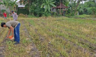 Dari-Menjaga-Kamtibmas-ke-Menjaga-Lumbung-Negeri:-Polisi-dan-Petani-Sukodono-Bersatu-Tanam-Jagung,-Perkuat-Swasembada-Pangan-dari-Desa