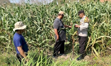 Motivasi-Petani-Desa-Lebo,-Polisi-Optimalkan-Lahan-Jagung-untuk-Ketahanan-Pangan