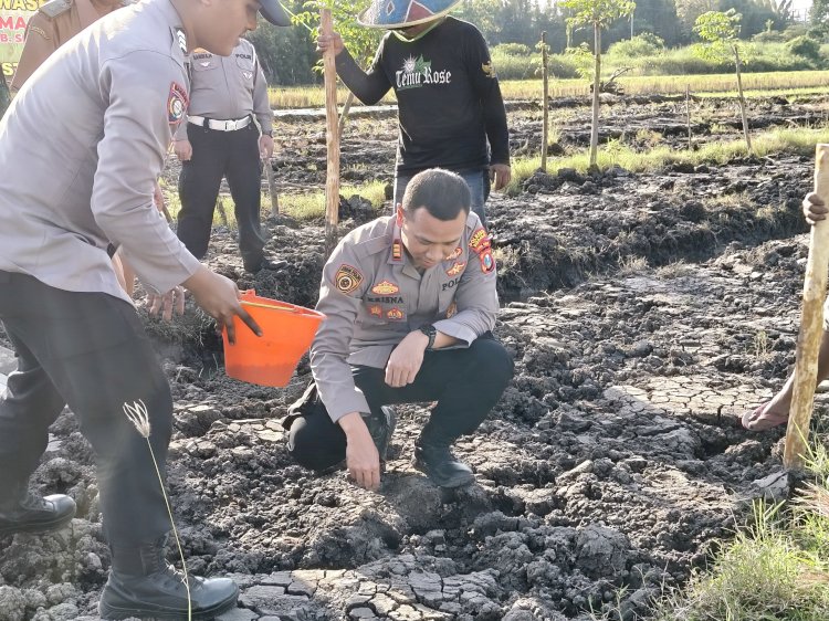 Kapolsek Wonoayu bersama Gapoktan Tanam Jagung Kuartal II, Dukung Swasembada Pangan Nasional